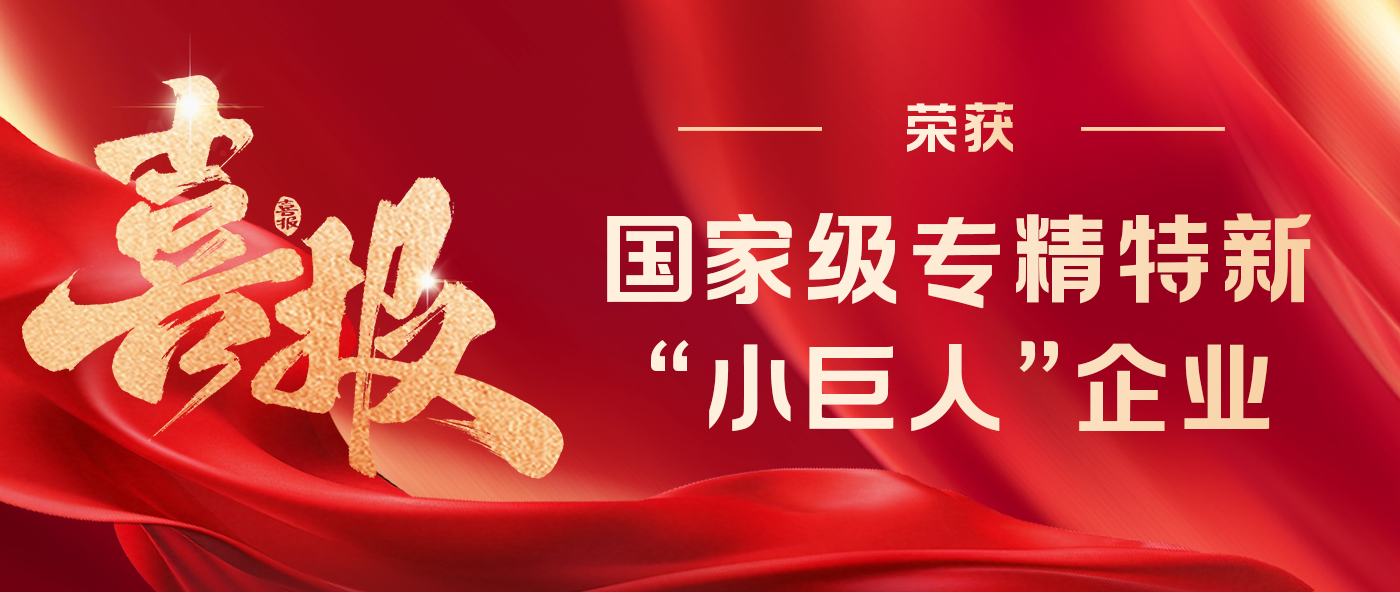 专注创新，引领未来：新拓云荣膺国家级专精特新“小巨人”企业称号